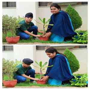 Plantation 
