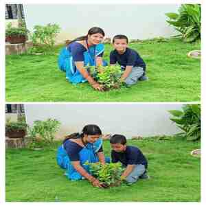 Plantation 